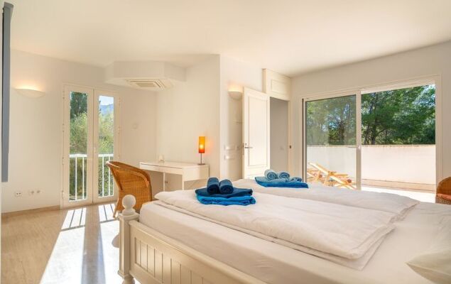 Orquidea 34 - Photo 13