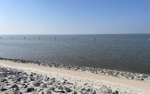 Reissmann - Photo 23