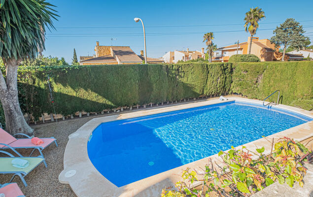 Dofins Bahia Azul - Photo 21