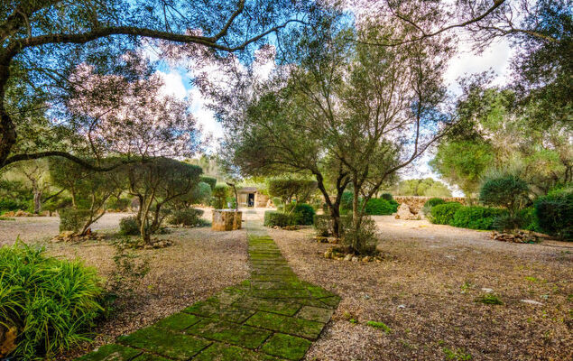 Es Rafalet - Photo 52