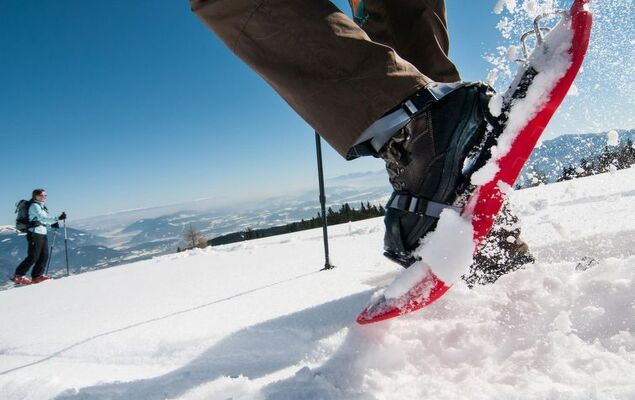 Dobratschblick alpe maritima Ski&See-14 - Photo 28