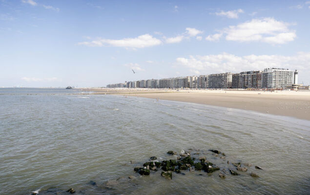 Centrally located "Key Point" - Photo 8