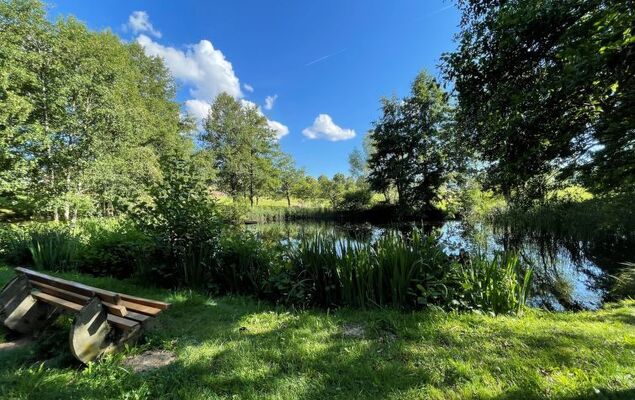 Schöne Aussicht (App 1406 / EX-Kurhotel) - Photo 29