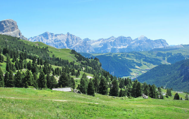 Garibaldi - Photo 26