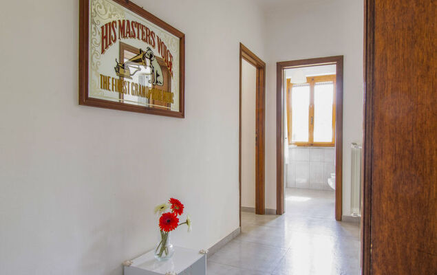 More e Lamponi - Photo 21