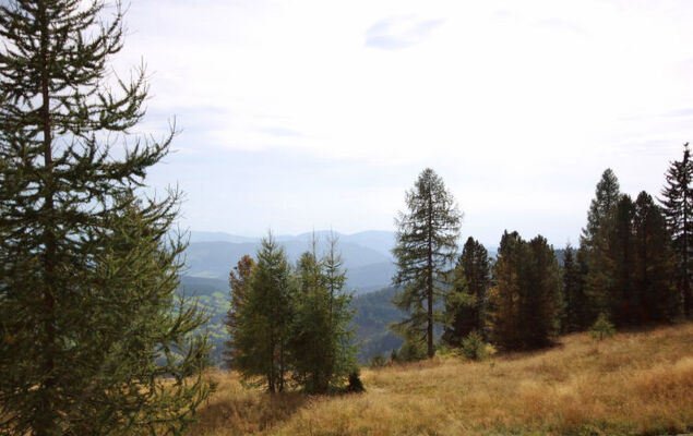 Chalet Amsel - Photo 23