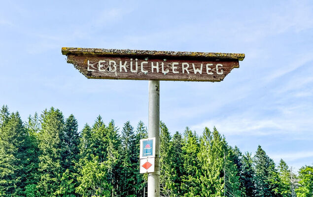 Bergsonne - Photo 36