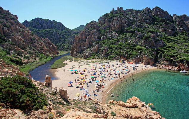 Corbezzolo - Photo 26