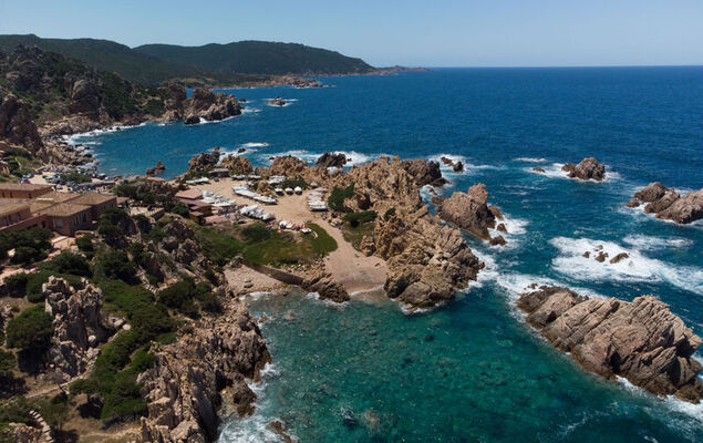 Corbezzolo - Photo 28