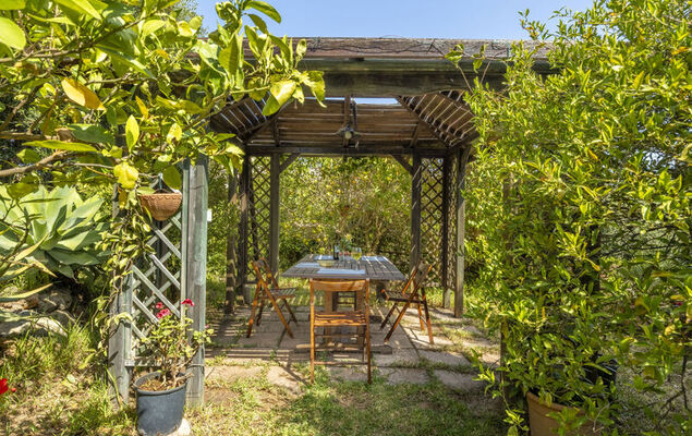 Cicladi Paros - Photo 32