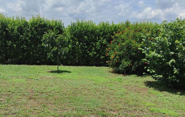 Amici Miei di Ponente - Photo 25